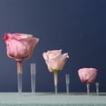 thumbnail image 3 of Paquete de 100 tubos portaflores Bewildely con púas fijas para manualidades DIY Claro, 3 of 6