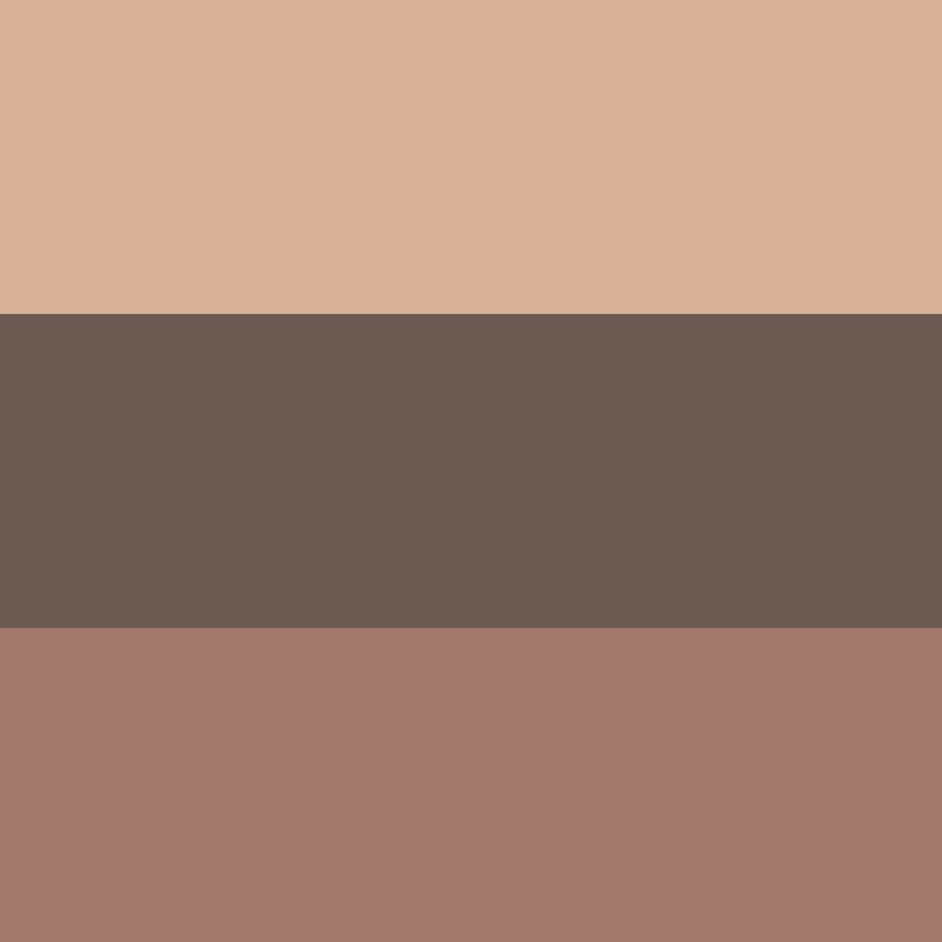 Everyday Neutrals