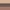 Everyday Neutrals, variant on Almay Hypoallergenic Eyeshadow Trio, Smoldering Embers, 0.19 oz