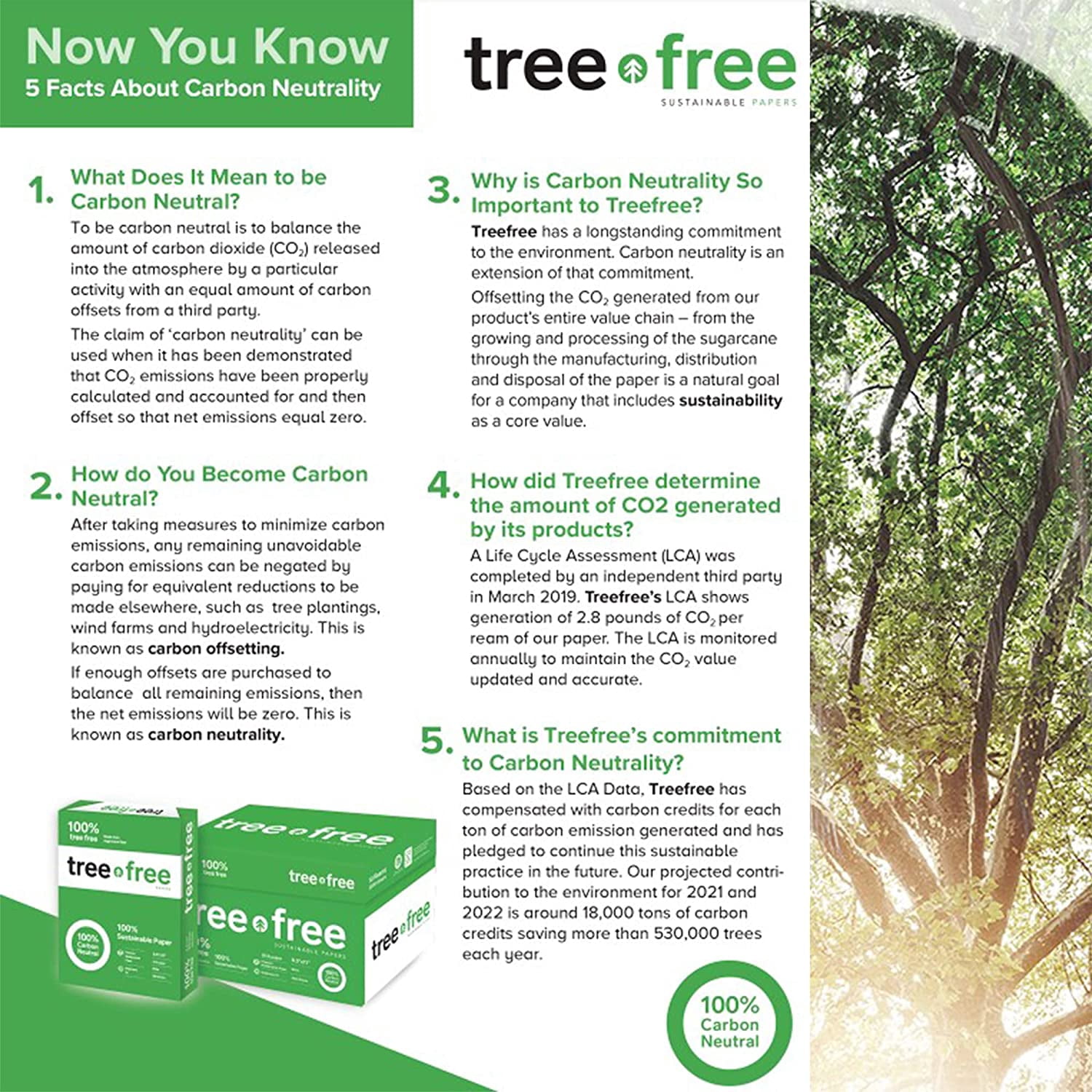 Tree Free Copy Paper 8.5 x 11, 92 Bright, 20 lb. Made from Sugarcane Waste Fiber Carbon Neutral 10 Reams 5000 Sheets