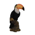 thumbnail image 6 of Hi-Line Gift Ltd Toucan on Stump Statue, 6 of 6