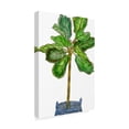 thumbnail image 2 of Trademark Fine Art 'Potted Jungle IV' Canvas Art by Melissa Wang, 2 of 4