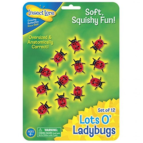 squishy bug toys