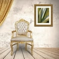 thumbnail image 3 of Perry, Rachel 12x14 Gold Ornate Wood Framed with Double Matting Museum Art Print Titled - Variegated Agave II, 3 of 4
