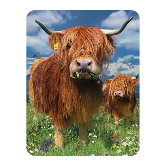 3D LiveLife Magnet - Highland Cattle from Deluxebase. Lenticular Farm Animal Refrigerator Magnet. Decorative 3D Cow Flat Magnets. Cute Small Magnets for Fridge, Dishwasher and Whiteboard.