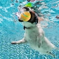 thumbnail image 2 of Dog Ball Toys Durable Motion Activated Automatic Rolling Ball Toys for Puppy/Small/Medium Dogs, 2 of 8