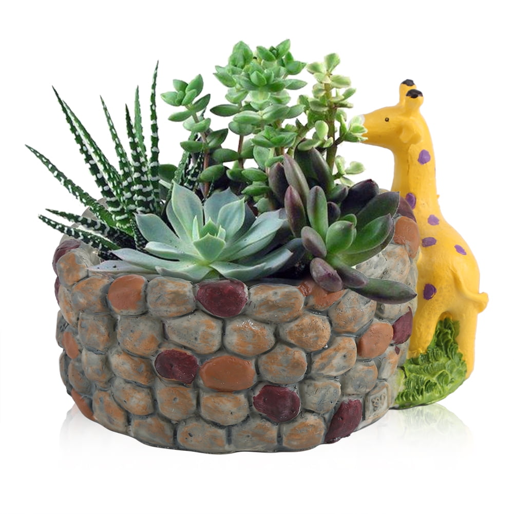 resin succulent planter