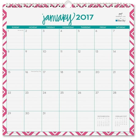 Blue Sky Lucy Wall Calendar