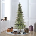 thumbnail image 5 of Vickerman 6' Ashland Artificial Christmas Tree Unlit, 5 of 5