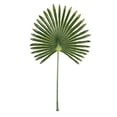 thumbnail image 2 of 41" Anemone Light Green Leaf Stem - Light Green, 2 of 4