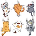thumbnail image 1 of LAICAIW 6 PCS Cat Car Stickers,Scratch Cat Vinyl Car Sticker,Cute Cats Scratch Cover Funny Bumper Decal,Cartoon Cat Car Sticker for Cars,Truck,Motorcycle,Windows,Refrigerators,Laptops, 1 of 7