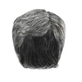 thumbnail image 1 of Perruque pour Hommes avec Perruque Net Naturel Cheveux Blancs Gris et Argent Couleur Perruque Taille Réglable, 1 of 6
