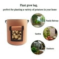 thumbnail image 1 of Bolsas de de teji Contenedor de pntación reutilizable para pntas de jardín con ventana visible, varios tamaños S marrón CUTICAT Plantador de contenedores en crecimiento, 1 of 5