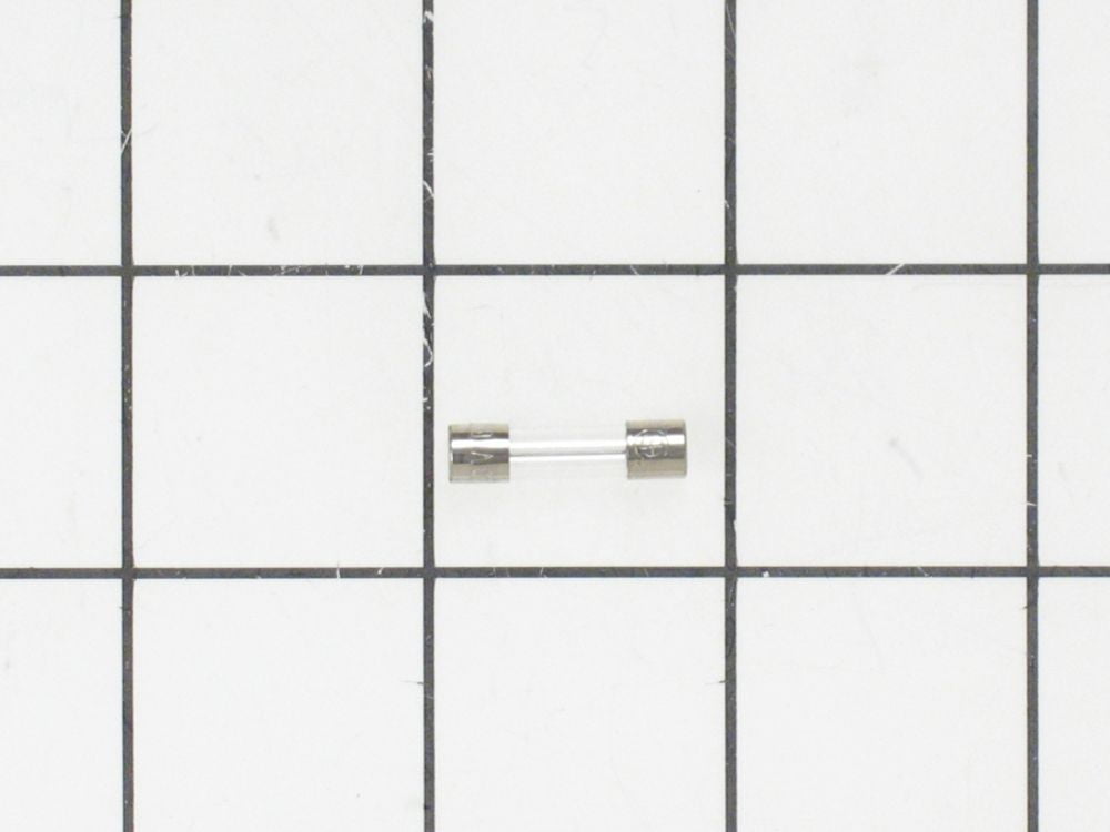 WB02X10646 GE Range Hood Fuse