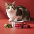 thumbnail image 5 of (12 pack) Special Kitty Beef Dinner Shreds in Gravy Wet Cat Food, 5.5 oz Can, 5 of 11