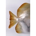 thumbnail image 4 of Batfish Life Size Statue, 4 of 9