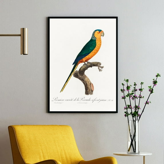 The Yellow-Fronted Parakeet, Cyanoramphus Auriceps - 1801—1805 | Francois Levaillant | Premium Fine Art Print | 18th Century French | Naturalism | Portrait | Nature Art