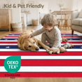 thumbnail image 4 of ODIKA Front Door Festive Stars Stripes Independence Celebration Generic for Dorm Room, Small Living Apartment, Stain Resistant Low Profile, 4 of 7