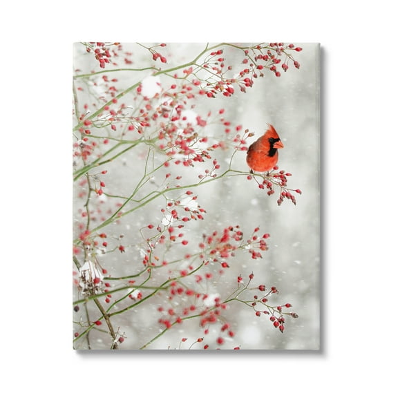 Stupell Industries Cardinal Seasonal Holly Berries Animals & Insects Photography Gallery Wrapped Canvas Print Wall Art, 16 x 20