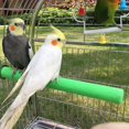thumbnail image 3 of Bird Perch Rough-surfaced Nature Wood Stand Toy Branch for Parrots, 3 of 3