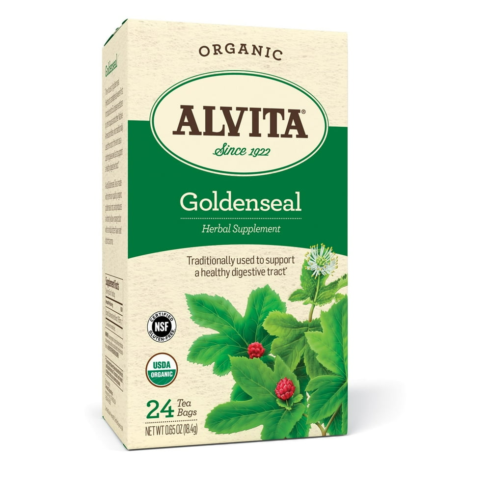 Alvita Alvita Teas Goldenseal Tea Organic 24 Tea Bags