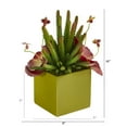 thumbnail image 2 of 11in. Succulent Artificial Plant in Green Planter, 2 of 3