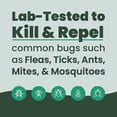 thumbnail image 2 of Yardsafe Outdoor Pest Control Cedar Oil Ready-to-Use Spray Kills and Repels Fleas, Ticks, Mosquitoes, Mites & Ants, 2 of 4
