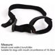 thumbnail image 2 of Bozal de nailon ajustable para perros, 18-24 cm, para perros pequeños y medianos - Seguridad antiladridos, 2 of 5