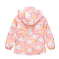 thumbnail image 4 of IROINNID Toddler Kids Baby Girls Fashion Cute Cartoon Clouds Pattern Windproof Jacket Detachable Hooded Coat, 4 of 9