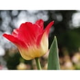 thumbnail image 3 of Bonin, Suzanne 24x19 Black Modern Framed Museum Art Print Titled - Happy One, 3 of 5