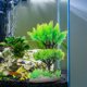 thumbnail image 4 of unbranded 2Ud Artificiales Realistas Para Pecera Áreas De Y Cría De Peces, 4 of 6