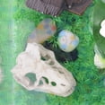 thumbnail image 4 of Flmtop Resin Aquarium Simulation Dinosaur Skull House Cave Fish Tank Landscape Ornament, 4 of 9