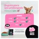 thumbnail image 3 of Suplemento para perros y gatos Blife B Pets Relax & Calm, 3 of 5