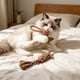 thumbnail image 4 of Cuerda de algodón para perros con nudos – Cuerda resistente para la dentición de cachorros, juguete interactivo de tira y afloja para la limpieza bucal y el alivio de las encías., 4 of 6