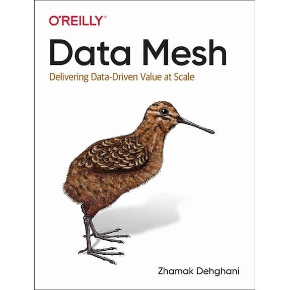 Data Mesh: Delivering Data-Driven Value at Scale, (Paperback)