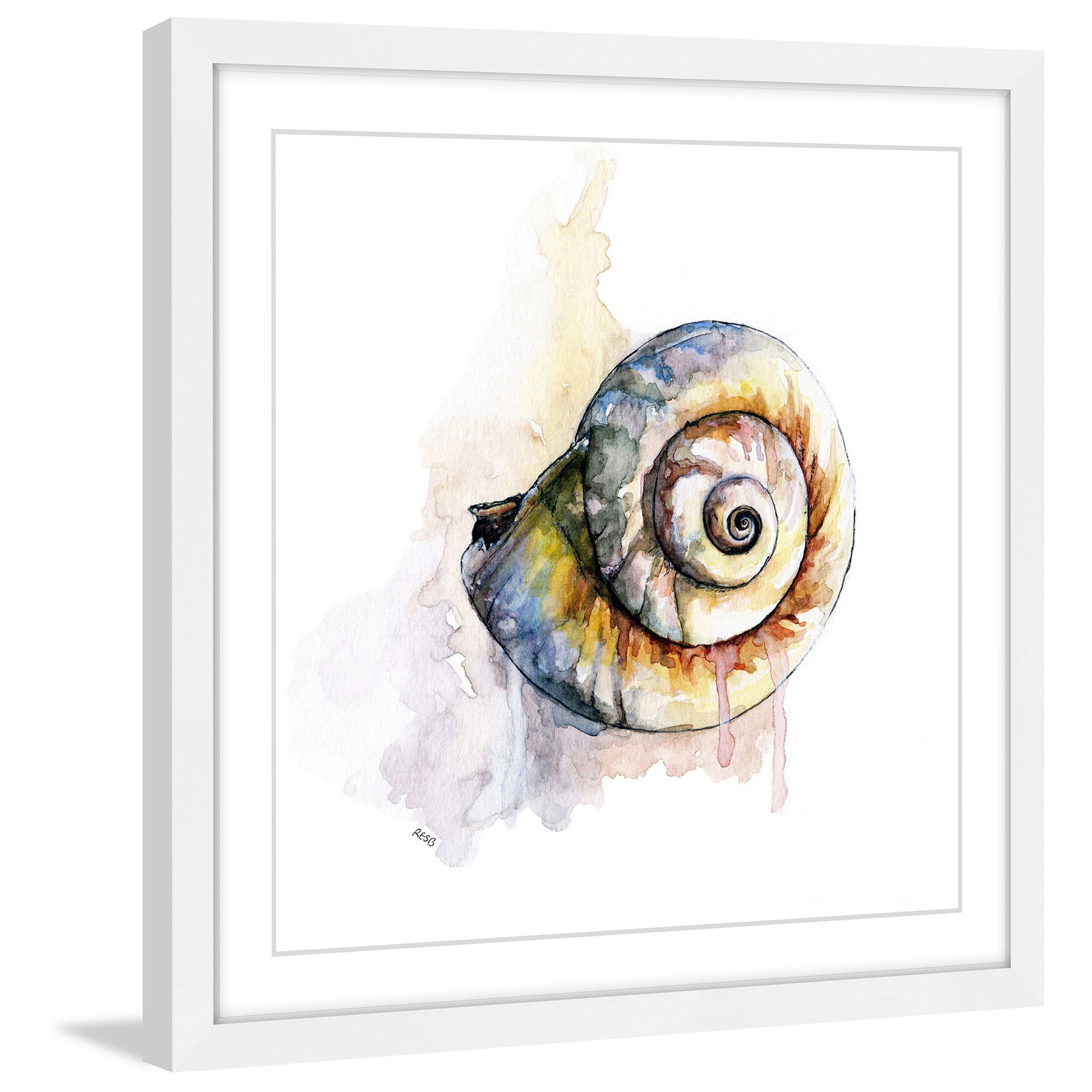 Marmont Hill "Snail Shell" by Rachel Byler Framed Painting Print