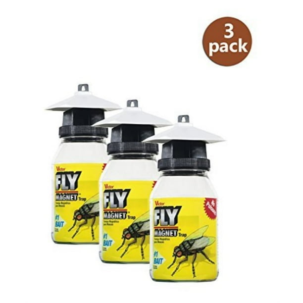 victor m380 fly magnet 1-quart reusable trap with bait (3 pack ...