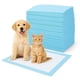 thumbnail image 1 of Genérico Tapete Entrenador para Perro, Paquete de 150 Unid 50x50 Cm Absorbente para Perro - Entrenador para Mascotas Desechable - Accesorios para Uso para Camas de Noche, 1 of 7