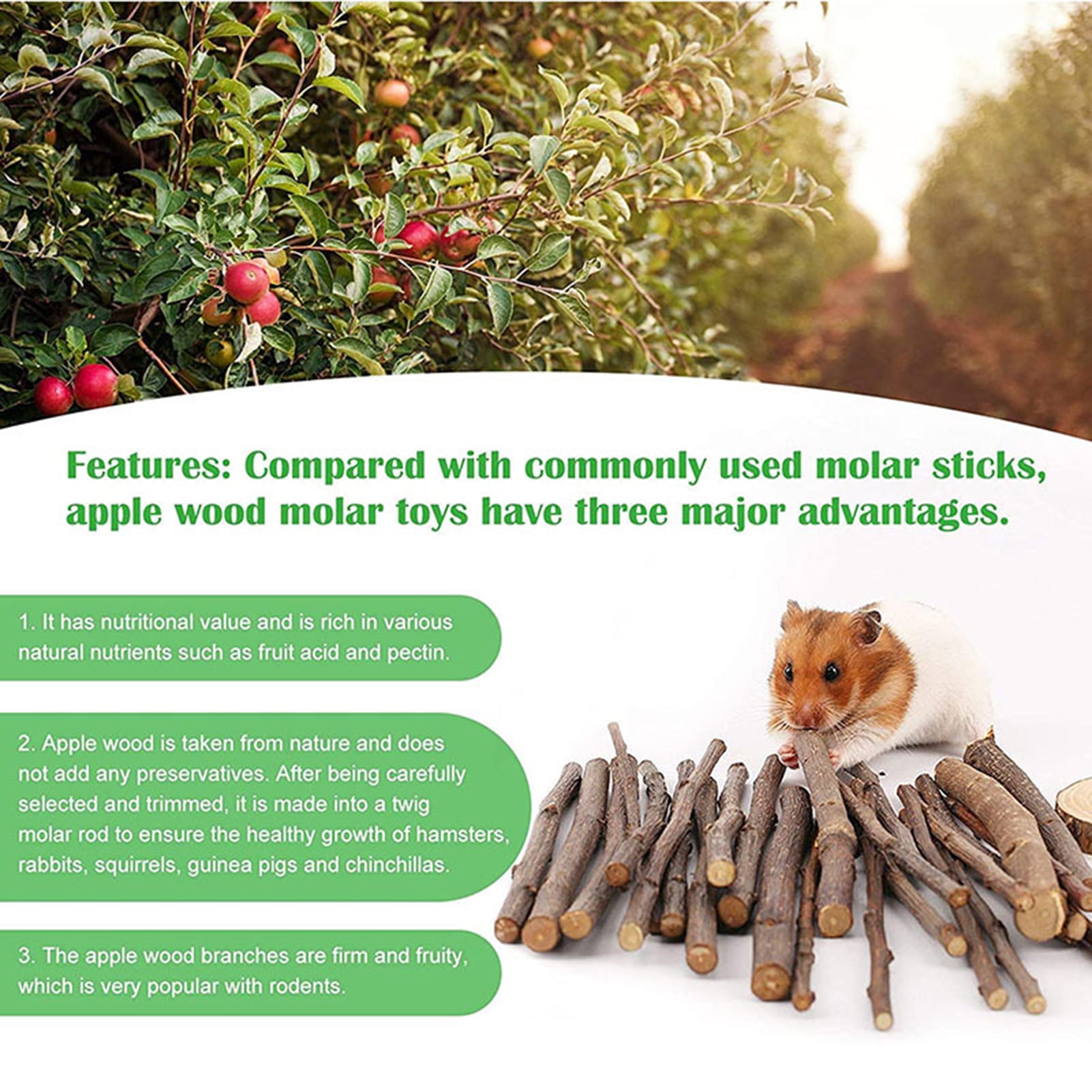 DOPI 10Pcs/Set Molar Toy Long Lifespan Relieve Anxiety Wood Hamster Tree Trunk Toy Set for Chinchillas
