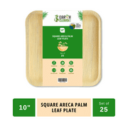 Earth Cleanse Areca Palm Leaf Square Plates 10-Inch ,Pack of 25