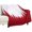 style-2, variant on Red Background with Snowflakes Blanket Soft Cozy Flannel Blanket for man women