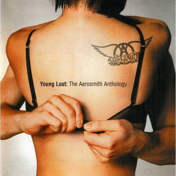 Aerosmith - Young Lust: The Aerosmith Anthology - Music & Performance - CD