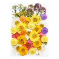 thumbnail image 4 of Birdeem Dried and Embossed Flowers for Resin Kit Candles and Crafts, 4 of 5