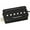 Black, variant on Seymour Duncan SHPR-1n P-Rails - Neck Pickup Black