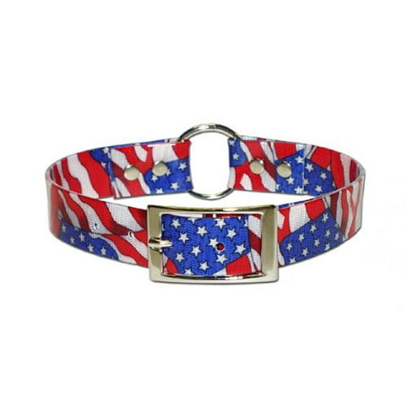 OmniPet Sunglo Ring in Center Dog Collar, 3/4 x 18, Orange