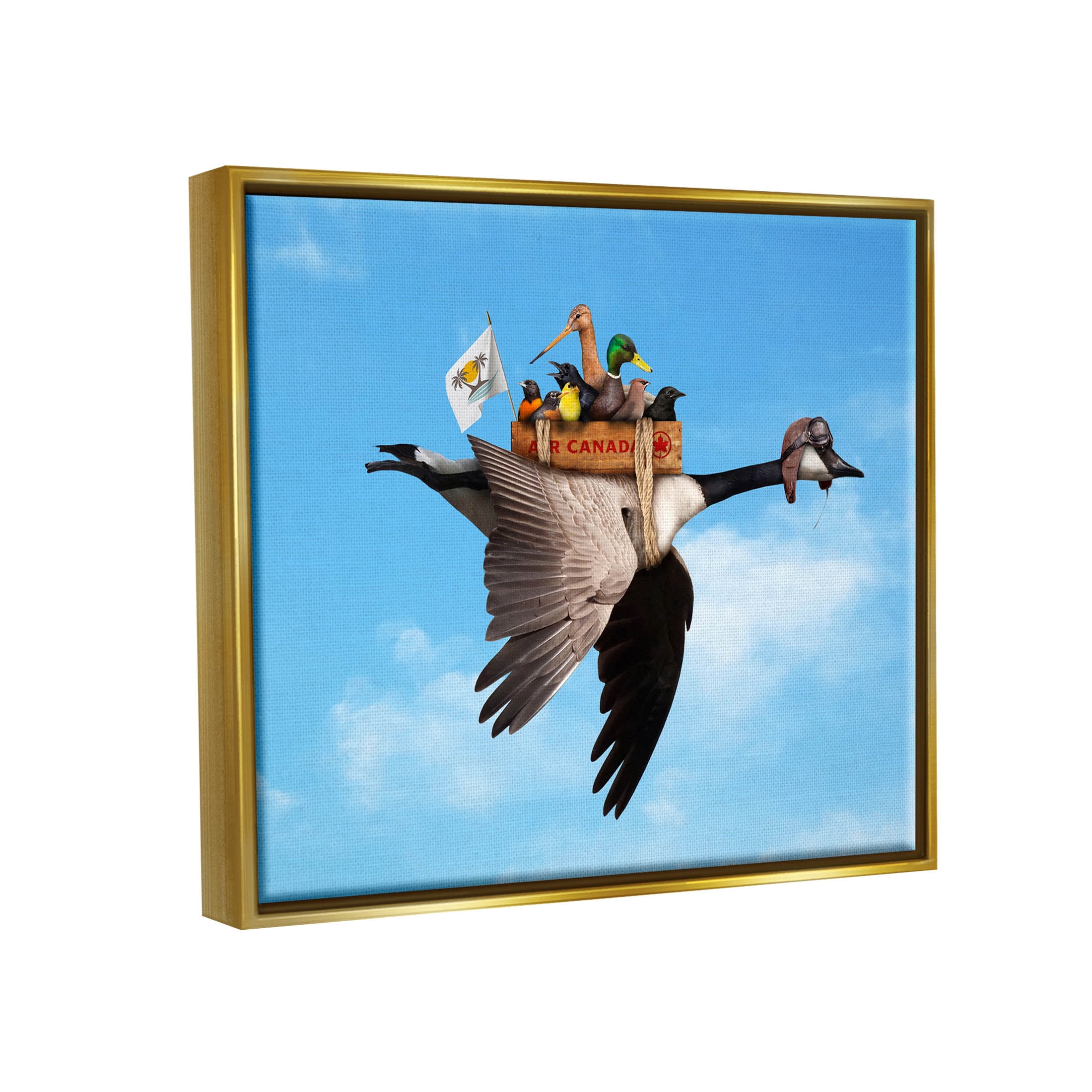Pilot Goose Flying Ducks Sky Animals & Insects Graphic Art Metallic Gold Framed Art Print Wall Art
