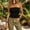 Black#03, variant on Tube Top for Women Summer Ribbed Knit Going Out Y2k Backless Tank Tops Causal Solid Slim Fits Backless Linghtweight Comfy Strapless Tops