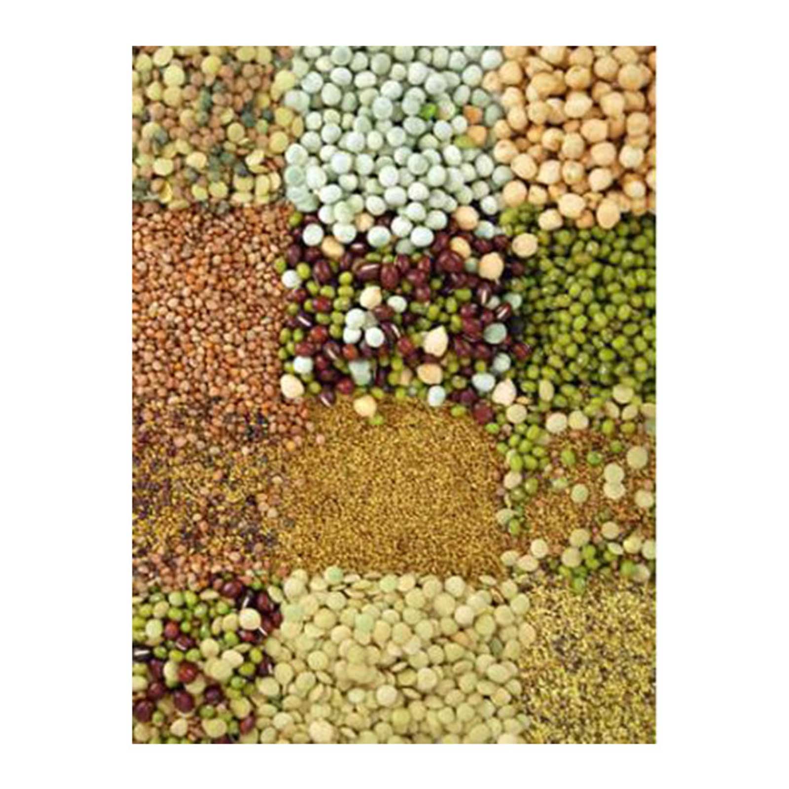 12 Lb Sprouting Seed Assortment - 1 Lb Ea. of Organic Sprout Seeds - Alfalfa, Radish, Clover, Lentil, Mung Bean, Garbanzo Beans, Green Pea, Bean Salad Mix, Protein Powerhouse Mix, More