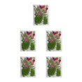 thumbnail image 3 of Bewildely Flores secas naturales, artesanía para el hogar, flores prensadas en relieve, decoración colorida para tarjetas de boda, pintura para Type2 NO2 Bewildely CBP162993, 3 of 4