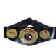thumbnail image 5 of Juguete cinturón lucha libre campeonato wwe aaa cmll wrestling niños adultos, 5 of 14